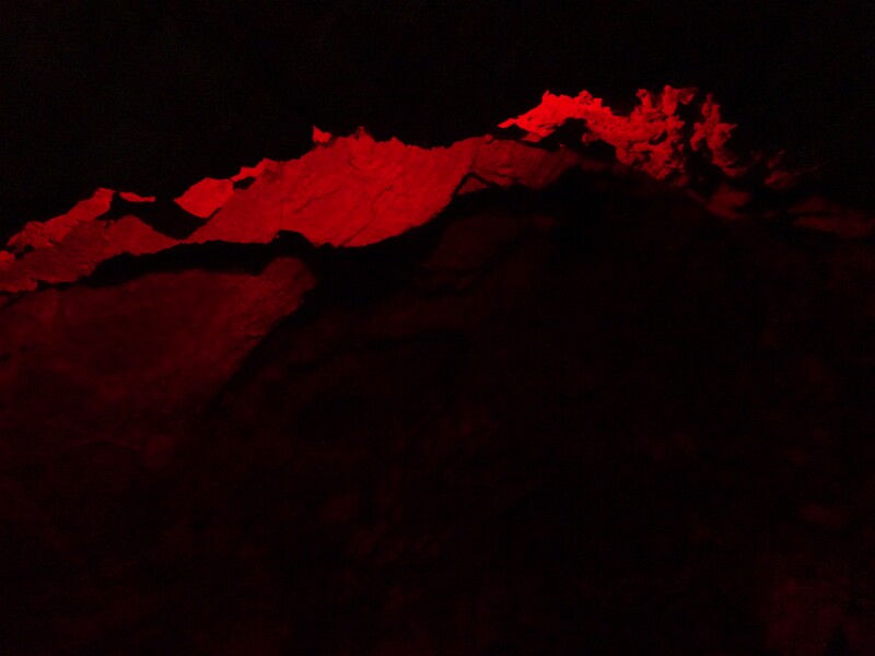 DSC02603