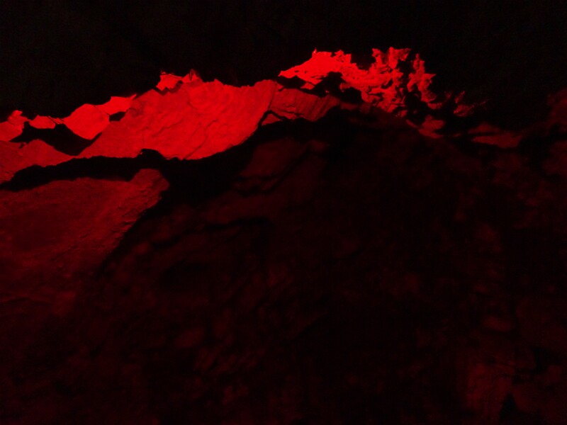 DSC02604