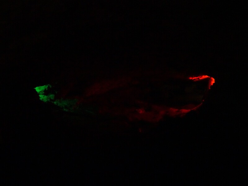 DSC02608