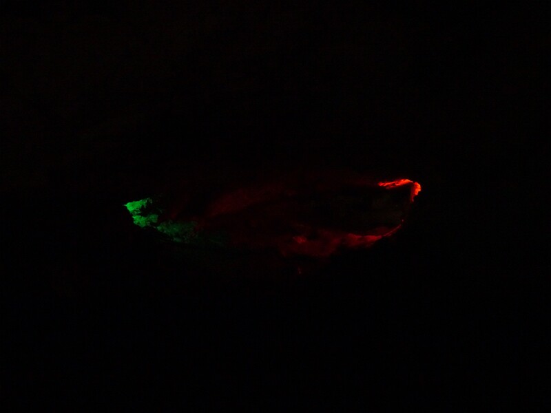 DSC02609