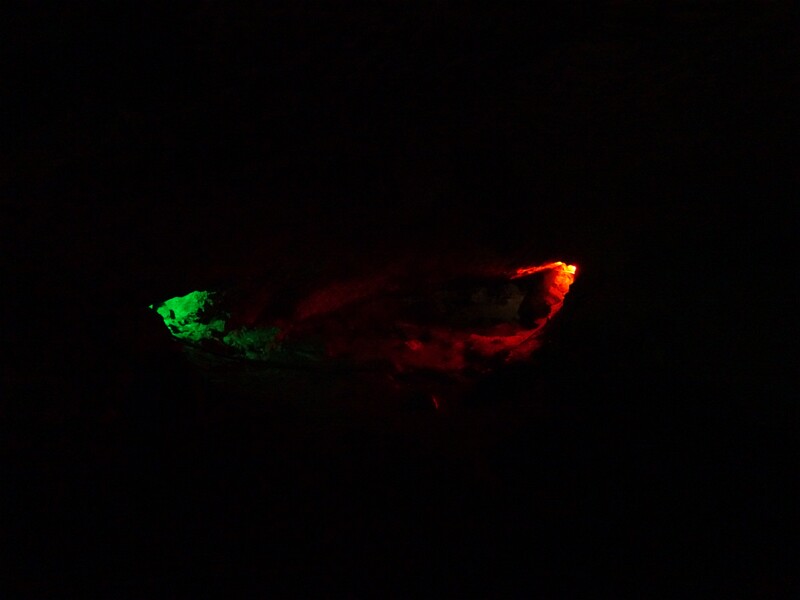 DSC02610