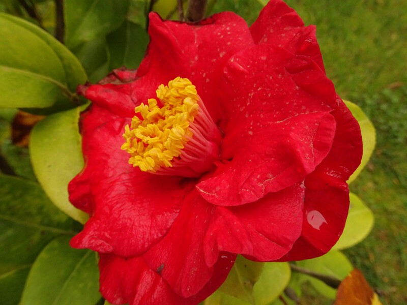 DSC02075
