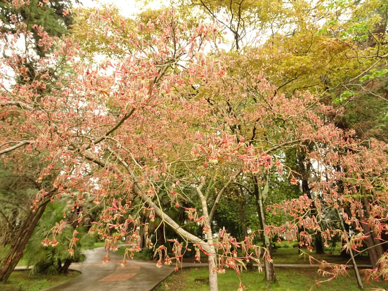 DSC02158