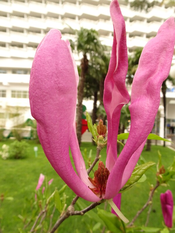 DSC02081
