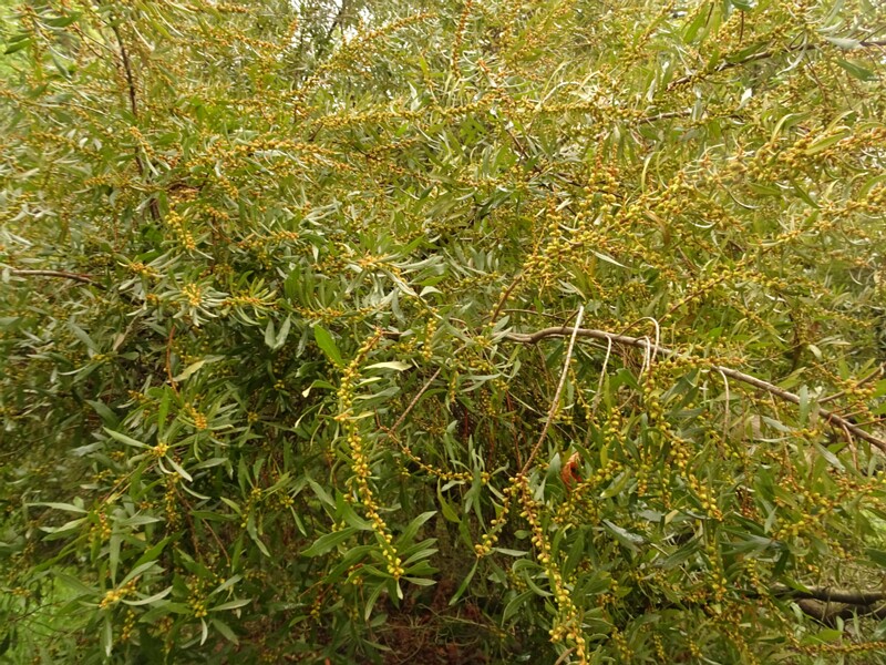 DSC02166