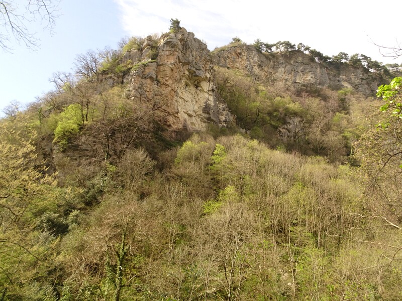 DSC02571