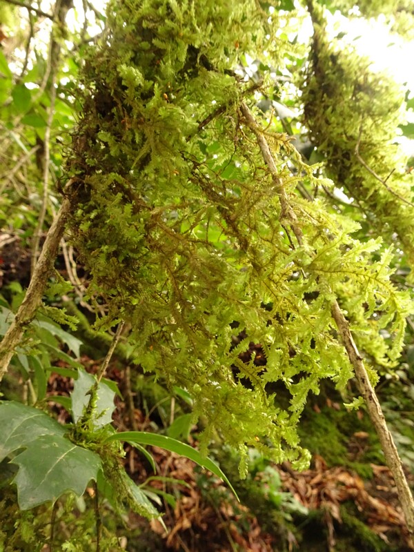 DSC02360