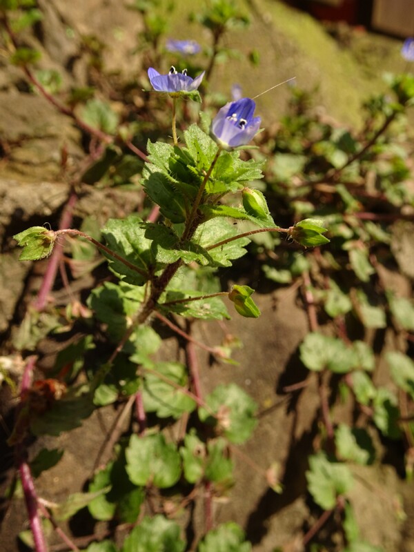 DSC02408